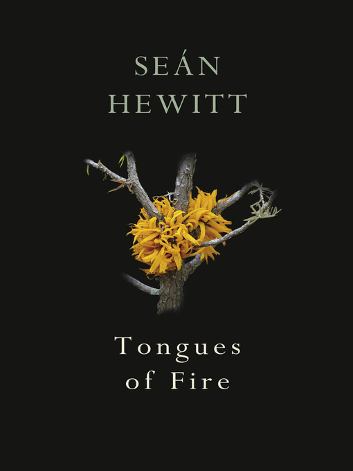 Title details for Tongues of Fire by Seán Hewitt - Available